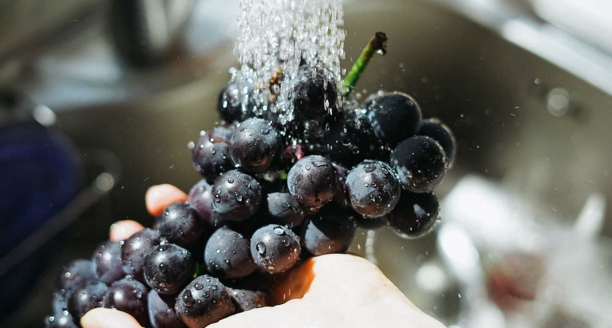 Laver les fruits avant de les utiliser