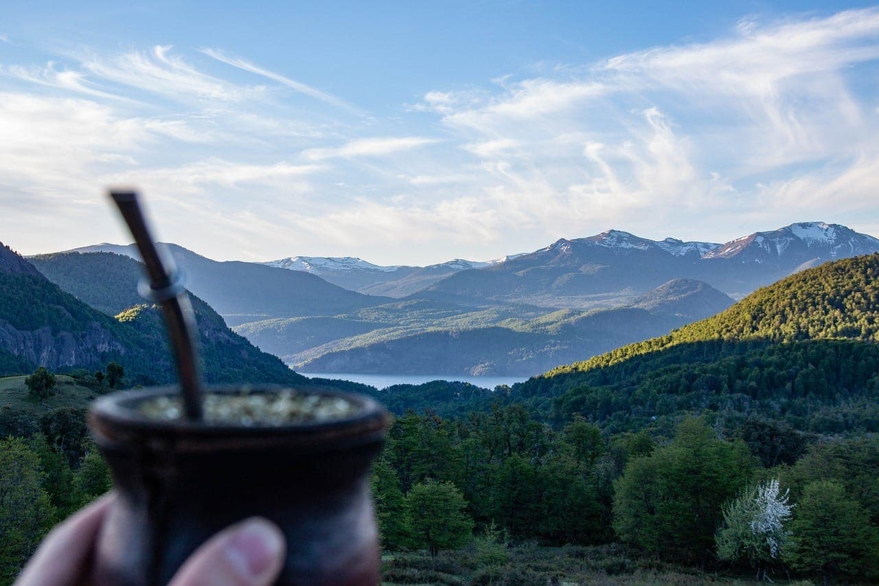 Tasse de boisson à base de mate